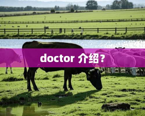 doctor 介绍？