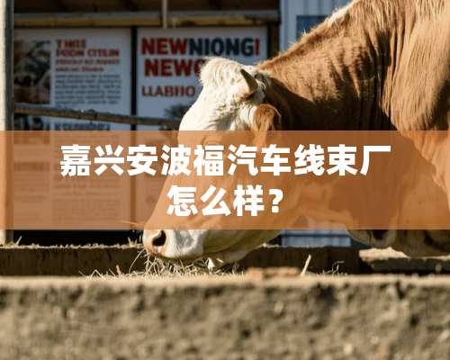 嘉兴安波福汽车线束厂怎么样？