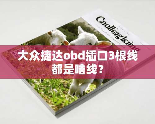 大众捷达obd插口3根线都是啥线？