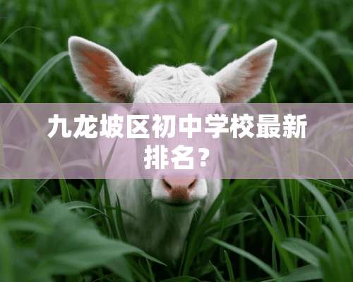 九龙坡区初中学校最新排名？