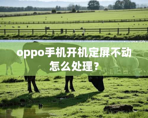 oppo手机开机定屏不动怎么处理？