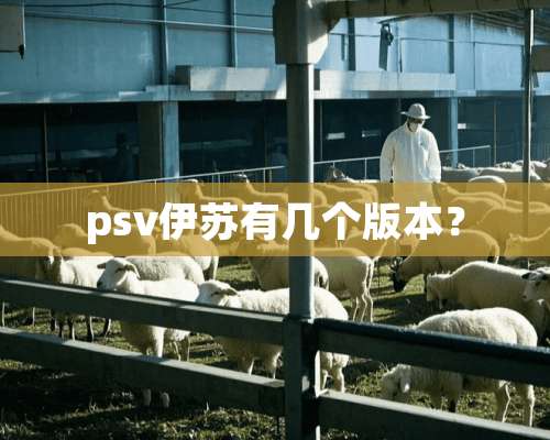 psv伊苏有几个版本？