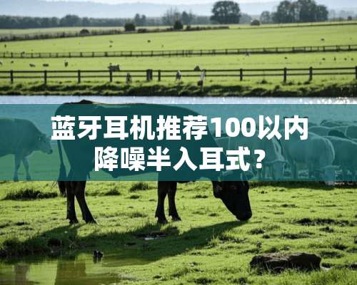 蓝牙耳机推荐100以内降噪半入耳式？