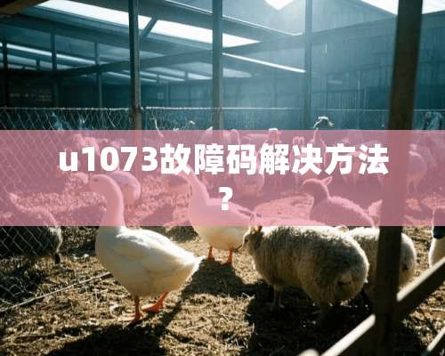 u1073故障码解决方法？