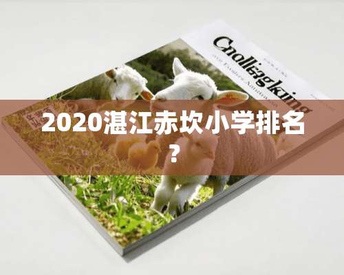 2020湛江赤坎小学排名？