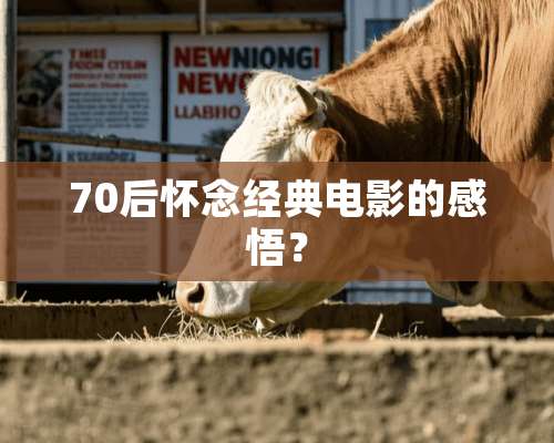 70后怀念经典电影的感悟？