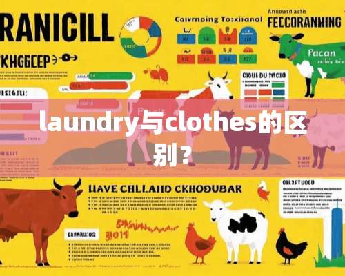 laundry与clothes的区别？