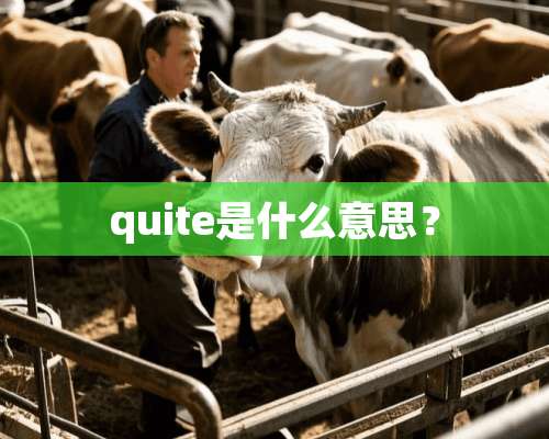 quite是什么意思？