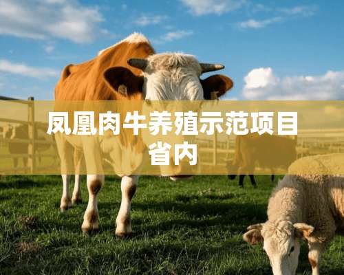 凤凰肉牛养殖示范项目省内