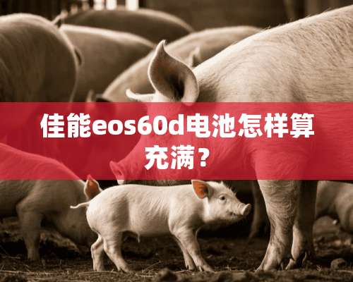 佳能eos60d电池怎样算充满？