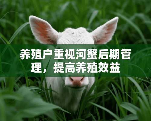 养殖户重视河蟹后期管理，提高养殖效益