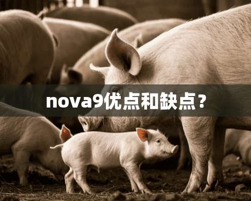 nova9优点和缺点？