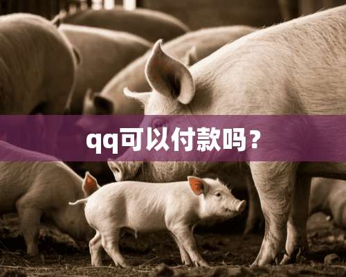 qq可以付款吗？