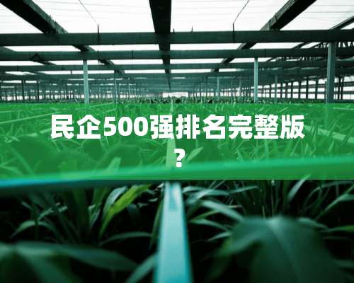 民企500强排名完整版？