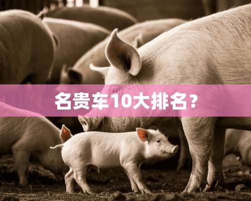 名贵车10大排名？