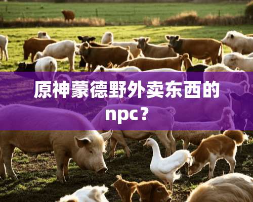 原神蒙德野外卖东西的npc？