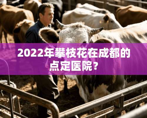 2022年攀枝花在成都的点定医院？