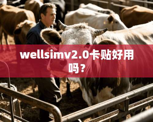 wellsimv2.0卡贴好用吗？