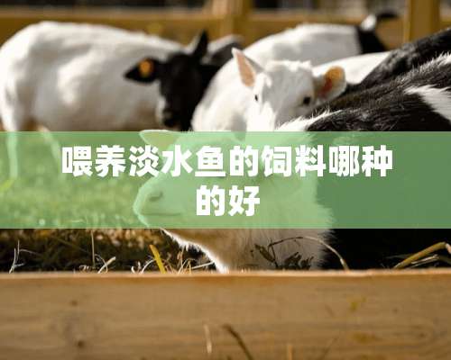 喂养淡水鱼的饲料哪种的好