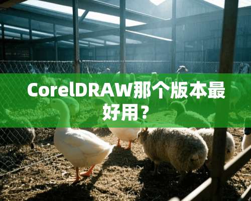 CorelDRAW那个版本最好用？