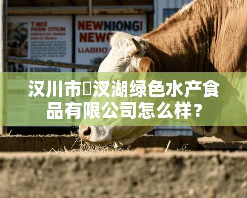 汉川市汈汊湖绿色水产食品有限公司怎么样？