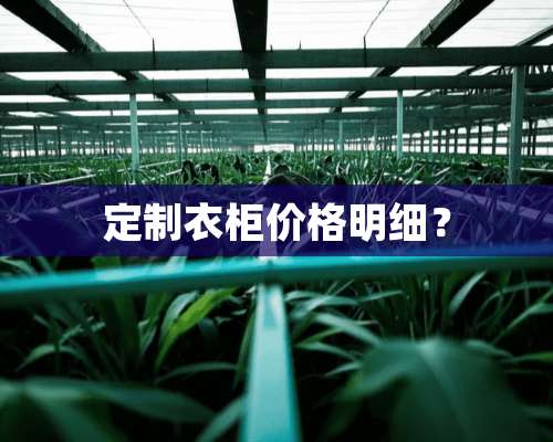 定制衣柜价格明细？