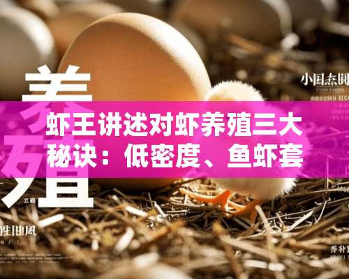 虾王讲述对虾养殖三大秘诀：低密度、鱼虾套养、生物防控