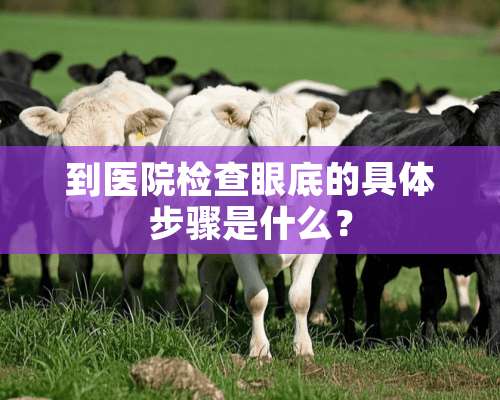 到医院检查眼底的具体步骤是什么？