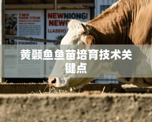 黄颡鱼鱼苗培育技术关键点