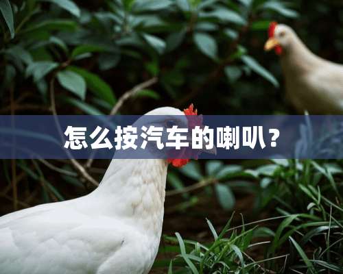 怎么按汽车的喇叭？