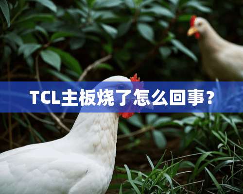 TCL主板烧了怎么回事？