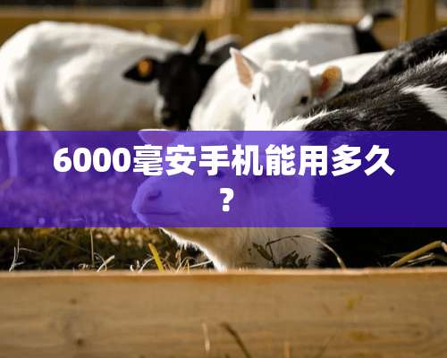 6000毫安手机能用多久？