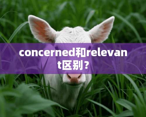 concerned和relevant区别？