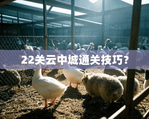 22关云中城通关技巧？