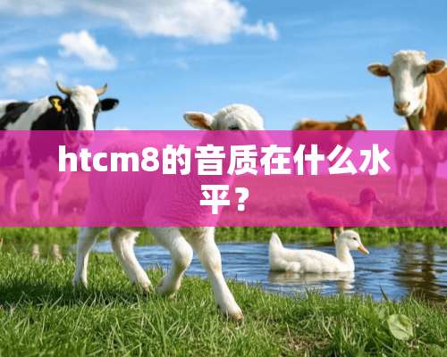 htcm8的音质在什么水平？