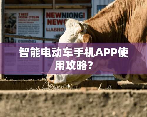 智能电动车手机APP使用攻略？