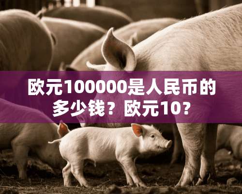 欧元100000是人民币的多少钱？欧元10？