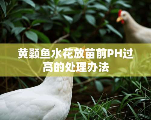 黄颡鱼水花放苗前PH过高的处理办法