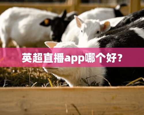 英超直播app哪个好？