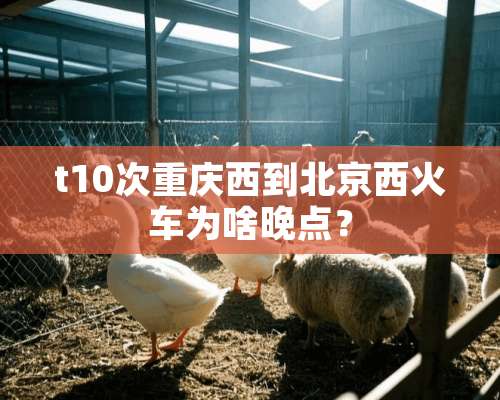 t10次重庆西到北京西火车为啥晚点？