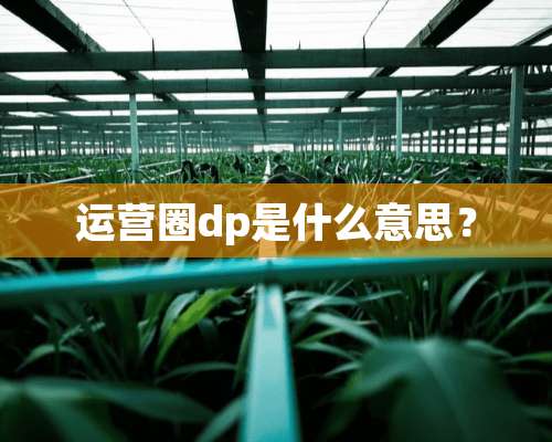 运营圈dp是什么意思？