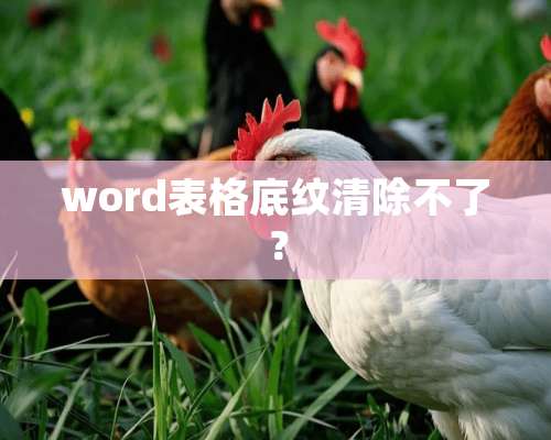 word表格底纹清除不了？