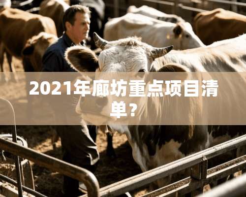 2021年廊坊重点项目清单？