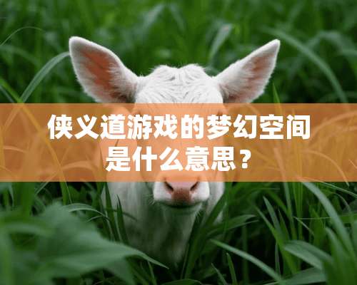 侠义道游戏的梦幻空间是什么意思？