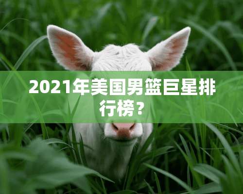 2021年美国男篮巨星排行榜？