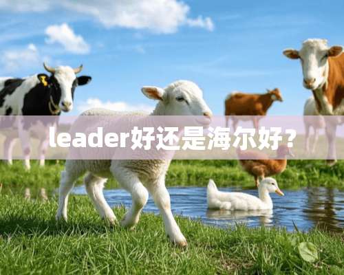 leader好还是海尔好？