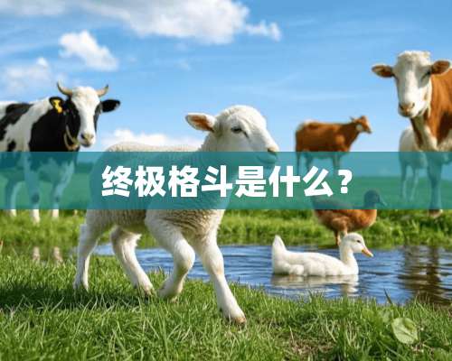 终极格斗是什么？