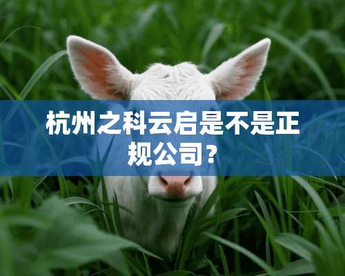 杭州之科云启是不是正规公司？