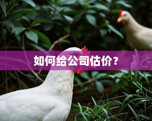 如何给公司估价？