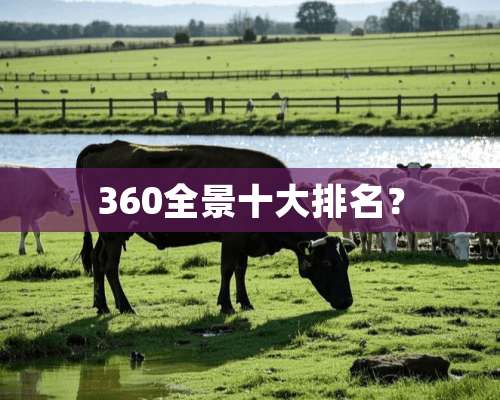 360全景十大排名？